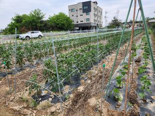 남광님의 자유주제 · 자유게시판 작성글 사진