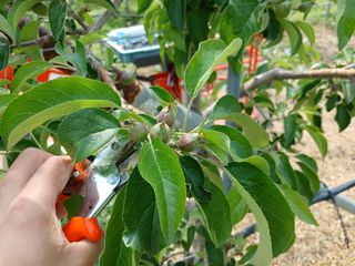 알 수 없음님의 자유주제 · 자유게시판 작성글 사진