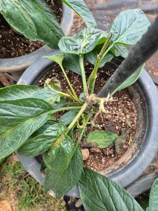 이문규님의 자유주제 · 자유게시판 작성글 사진