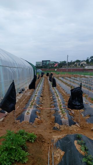 하문오님의 자유주제 · 자유게시판 작성글 사진