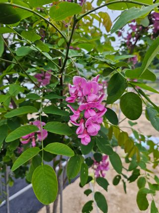 최연재님의 자유주제 · 자유게시판 작성글 사진