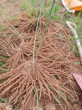 퇴근농님의 작성글 사진