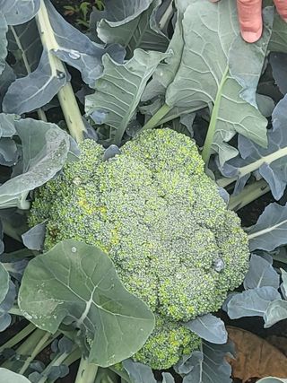 진동희님의 자유주제 · 자유게시판 작성글 사진