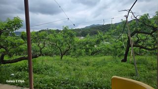 박현주님의 자유주제 · 자유게시판 작성글 사진