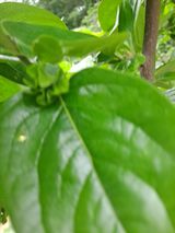 팜모닝 자유주제·자유게시판 게시글 이미지