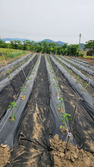 배성은365님의 자유주제 · 자유게시판 작성글 사진