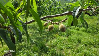 박현주님의 자유주제 · 자유게시판 작성글 사진