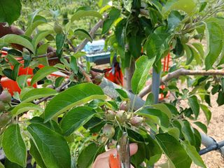 알 수 없음님의 자유주제 · 자유게시판 작성글 사진