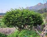 팜모닝 자유주제·자유게시판 게시글 이미지