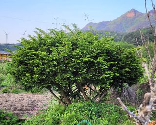 고추건조기부품판매님의 자유주제 · 자유게시판 작성글 사진