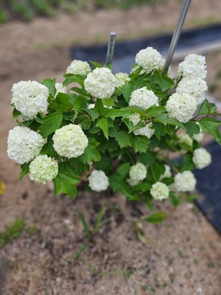 최연재님의 자유주제 · 자유게시판 작성글 사진