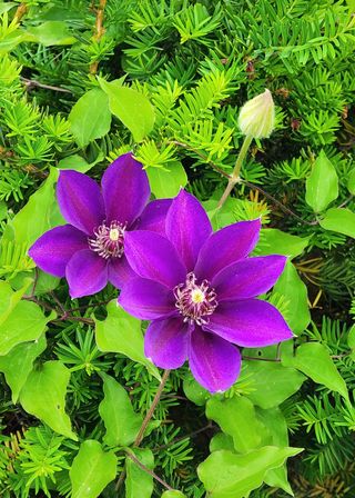 고추건조기부품판매님의 자유주제 · 자유게시판 작성글 사진