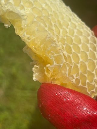 유미경님의 작성글 사진