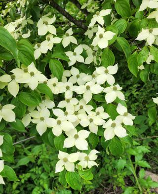 고추건조기부품판매님의 자유주제 · 자유게시판 작성글 사진