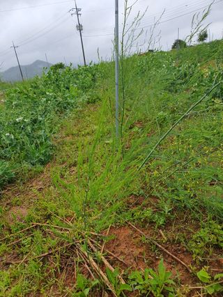 퇴근농님의 작성글 사진