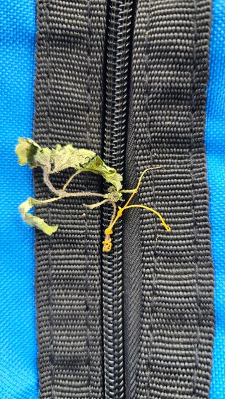 텃밭실습생님의 농사, 무엇이든 물어보세요! · 참여글 작성글 사진