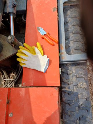 알 수 없음님의 자유주제 · 자유게시판 작성글 사진