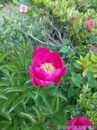 황대헌님의 자유주제 · 자유게시판 작성글 사진