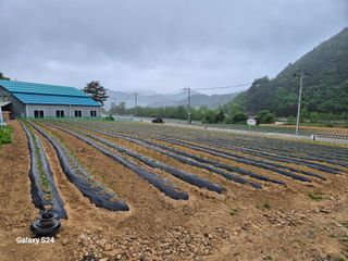 손동현님의 자유주제 · 자유게시판 작성글 사진