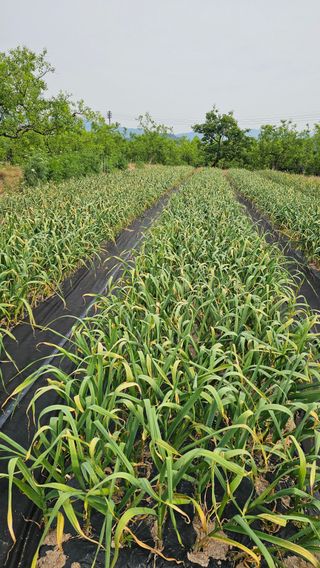 배성은365님의 자유주제 · 자유게시판 작성글 사진