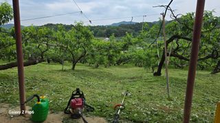 박현주님의 자유주제 · 자유게시판 작성글 사진