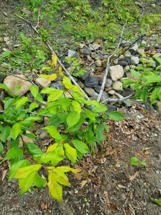 김용대님의 자유주제 · 자유게시판 작성글 사진