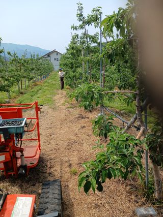 알 수 없음님의 자유주제 · 자유게시판 작성글 사진