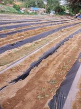 팜모닝 자유주제·자유게시판 게시글 이미지