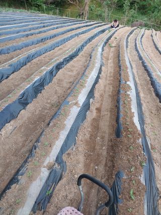 정금천님의 자유주제 · 자유게시판 작성글 사진