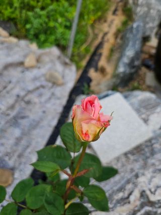 최연재님의 자유주제 · 자유게시판 작성글 사진