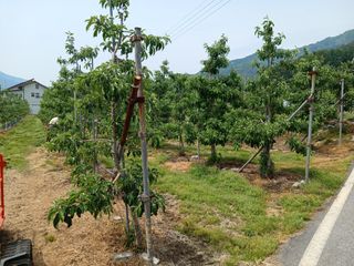 알 수 없음님의 자유주제 · 자유게시판 작성글 사진