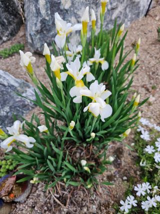 최연재님의 자유주제 · 자유게시판 작성글 사진