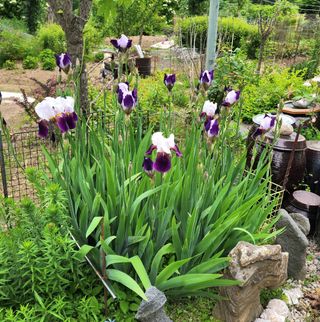 고추건조기부품판매님의 자유주제 · 자유게시판 작성글 사진