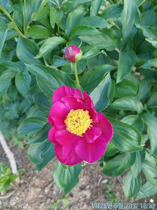 황대헌님의 자유주제 · 자유게시판 작성글 사진