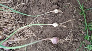 조새힘님의 자유주제 · 자유게시판 작성글 사진