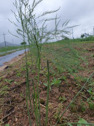 퇴근농님의 작성글 사진