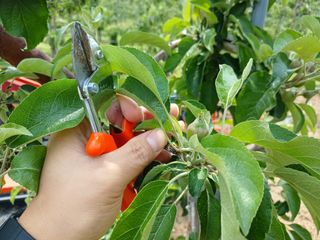 알 수 없음님의 자유주제 · 자유게시판 작성글 사진