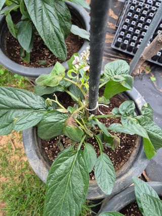 이문규님의 자유주제 · 자유게시판 작성글 사진