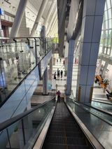 팜모닝 자유주제·자유게시판 게시글 이미지