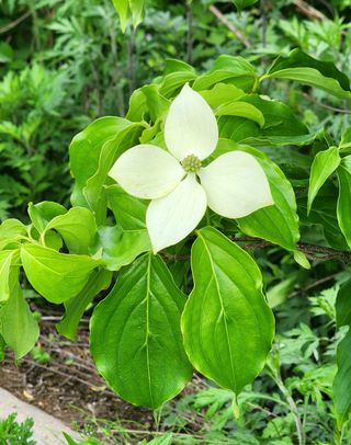 고추건조기부품판매님의 자유주제 · 자유게시판 작성글 사진