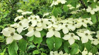 고추건조기부품판매님의 자유주제 · 자유게시판 작성글 사진