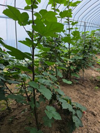 김병호님의 자유주제 · 자유게시판 작성글 사진