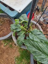 팜모닝 자유주제·자유게시판 게시글 이미지