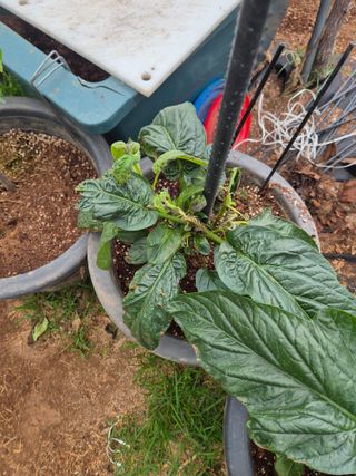 이문규님의 자유주제 · 자유게시판 작성글 사진