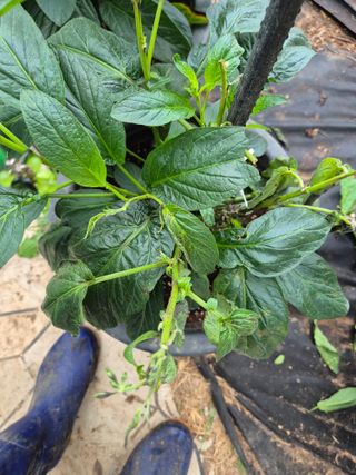 이문규님의 자유주제 · 자유게시판 작성글 사진