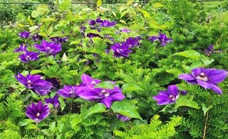 고추건조기부품판매님의 자유주제 · 자유게시판 작성글 사진