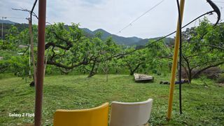 박현주님의 자유주제 · 자유게시판 작성글 사진