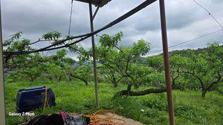 박현주님의 자유주제 · 자유게시판 작성글 사진