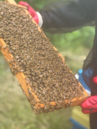 유미경님의 작성글 사진