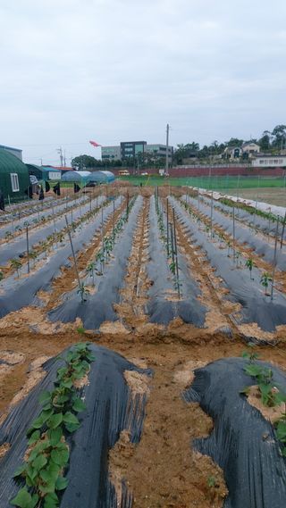 하문오님의 자유주제 · 자유게시판 작성글 사진